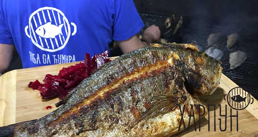 Orada u restoranu Harpun
