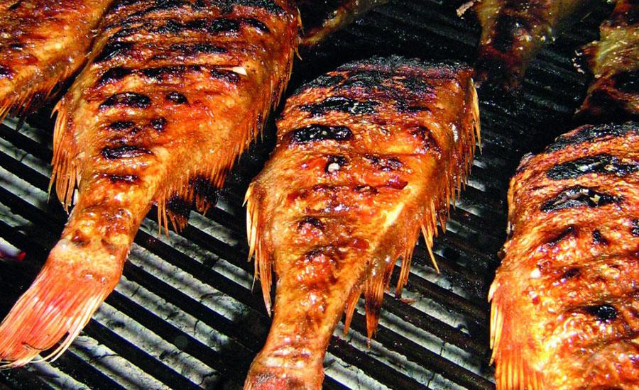 Skarpina-na-zaru-Harpun-Novi-Sad