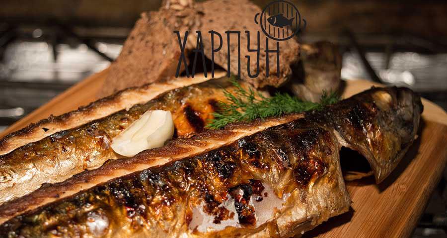 Skusa-na-zaru-Harpun